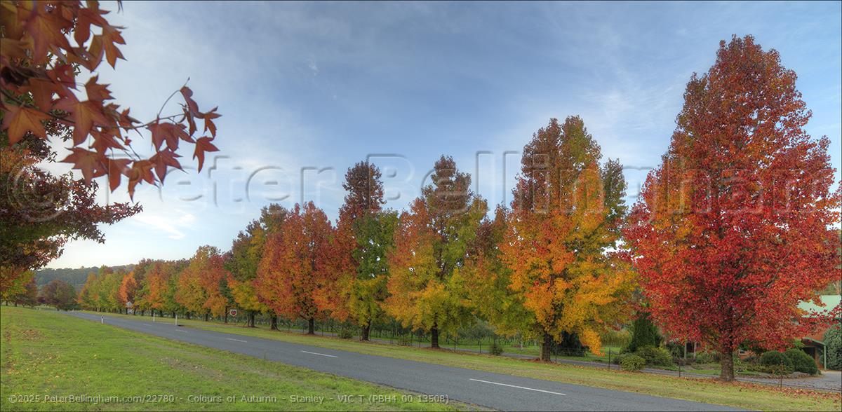 Peter Bellingham Photography Colours of Autumn - Stanley - VIC T (PBH4 00 13508)
